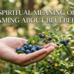 Blueberries Dream Meaning