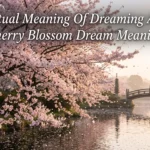 Cherry Blossom Dream Meaning