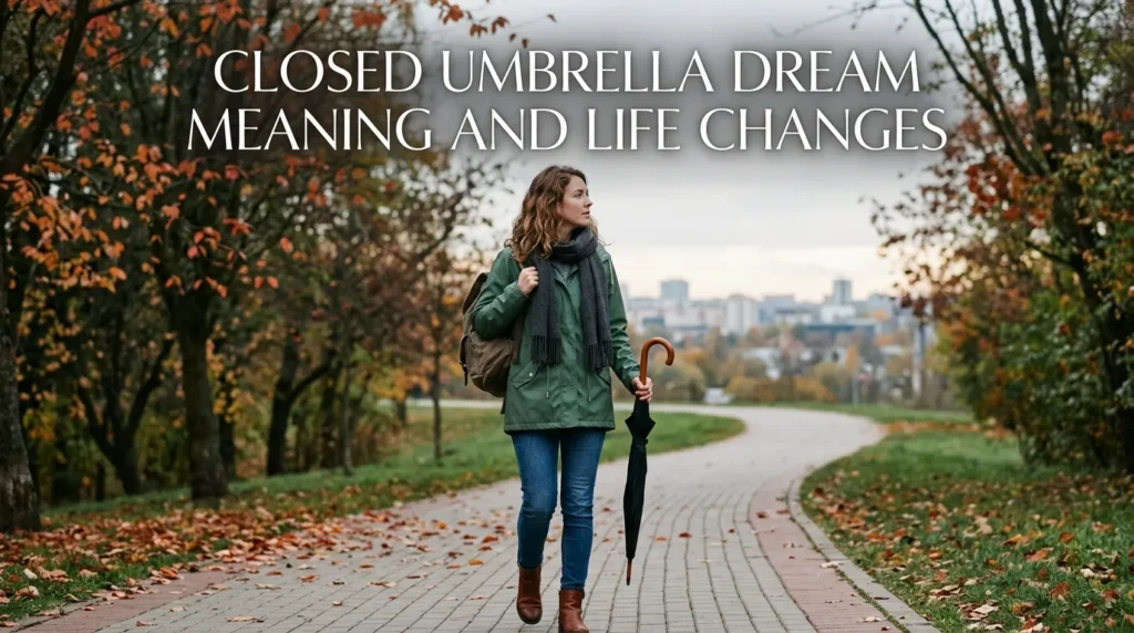 Closed Umbrella Dream Meaning and Life Changes