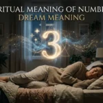 Dream Meaning Number 3